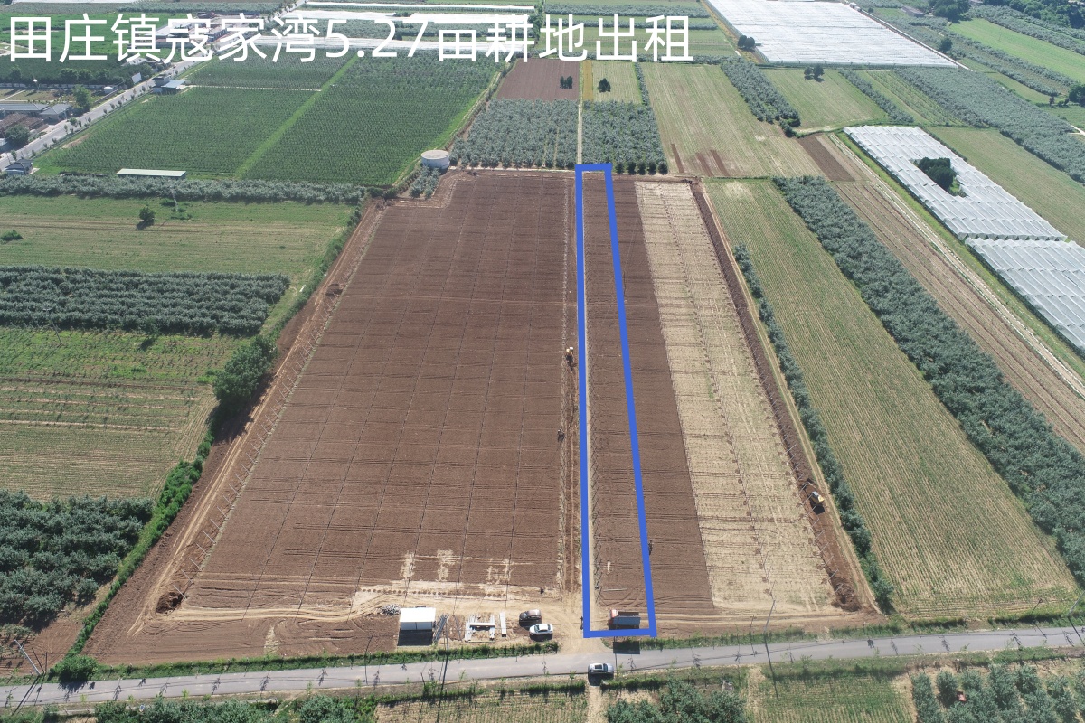 延安黄陵县 5.27亩 水浇地 经营权出租