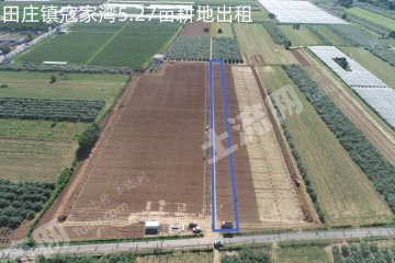 延安黄陵县 5.27亩 水浇地 经营权出租
