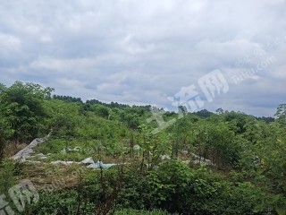 宜春高安市 400亩 水浇地 经营权出租
