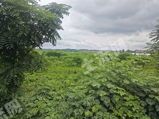宜春高安市 400亩 水浇地 经营权出租