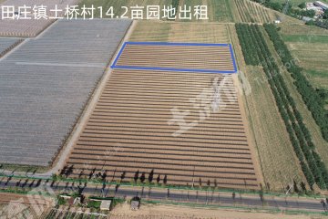 延安黄陵县 14.2亩 水浇地 经营权出租