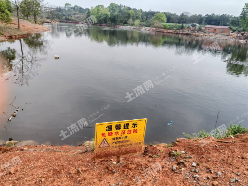 宜春高安市 15亩 坑塘水面 经营权出租