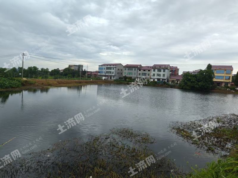 宜春高安市 5亩 坑塘水面 经营权出租